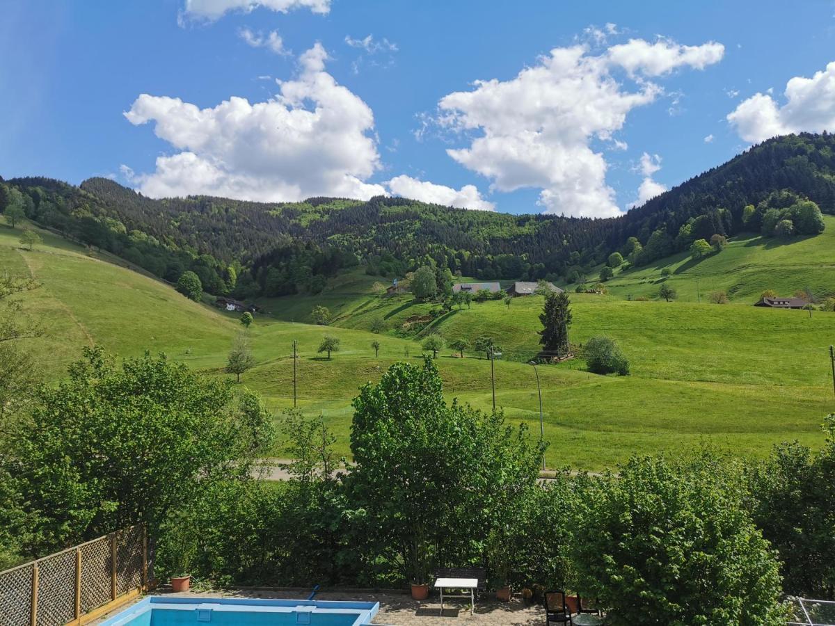 Ferienwohnung Vogelsang Im Schwarzwald Münstertal Dış mekan fotoğraf