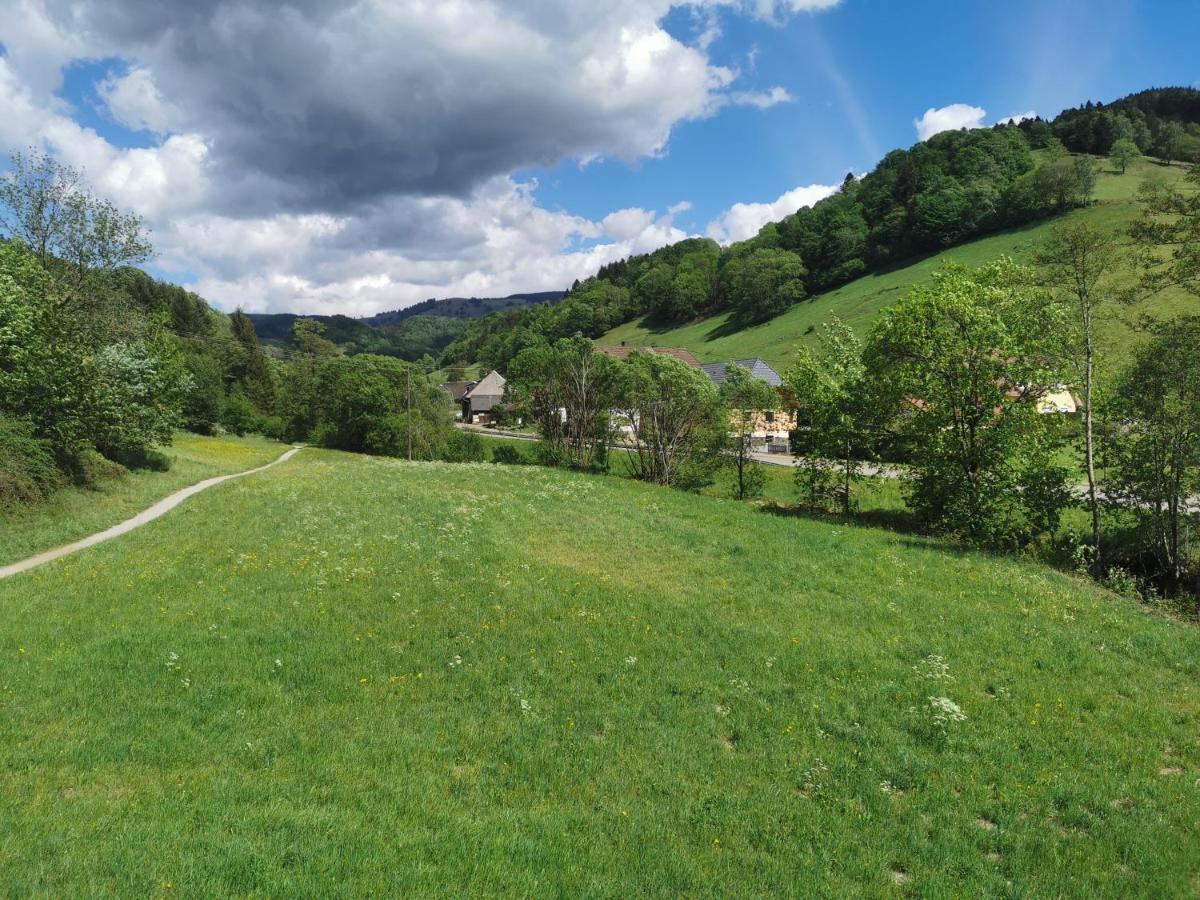 Ferienwohnung Vogelsang Im Schwarzwald Münstertal Dış mekan fotoğraf