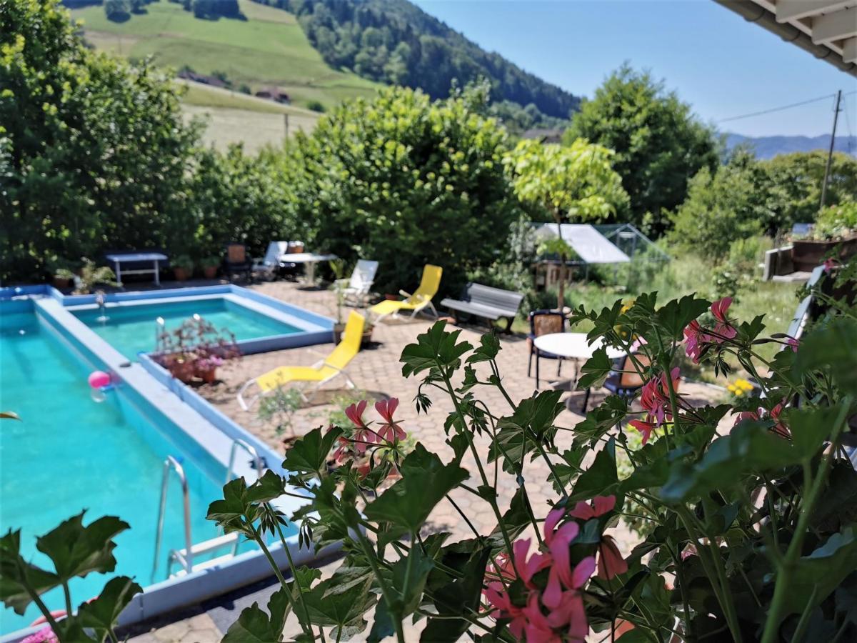 Ferienwohnung Vogelsang Im Schwarzwald Münstertal Dış mekan fotoğraf