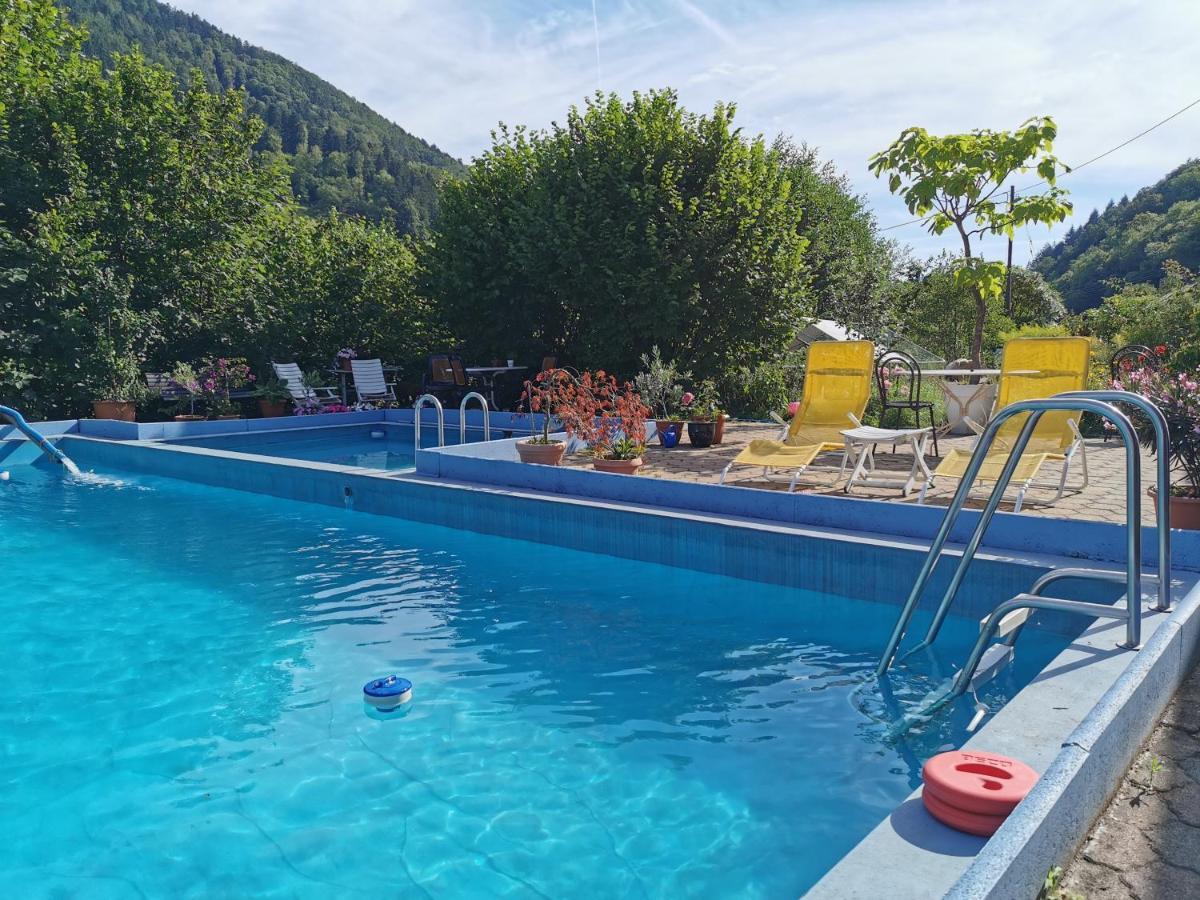 Ferienwohnung Vogelsang Im Schwarzwald Münstertal Dış mekan fotoğraf