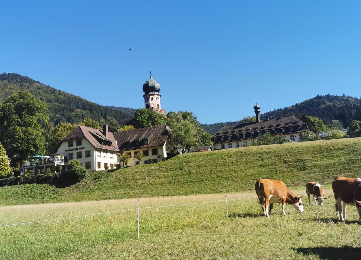 Ferienwohnung Vogelsang Im Schwarzwald Münstertal Dış mekan fotoğraf