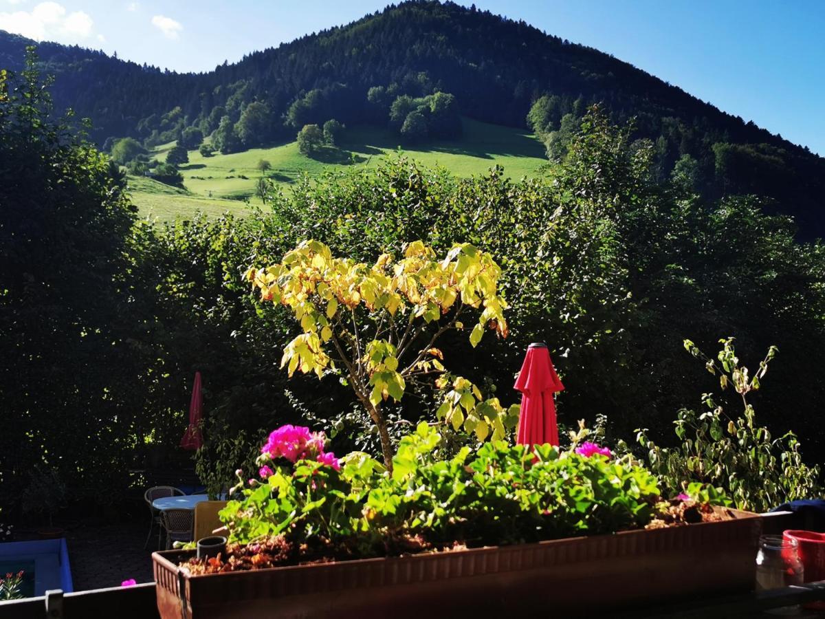 Ferienwohnung Vogelsang Im Schwarzwald Münstertal Dış mekan fotoğraf