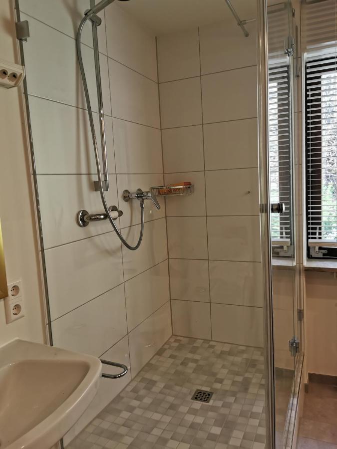 Ferienwohnung Vogelsang Im Schwarzwald Münstertal Dış mekan fotoğraf