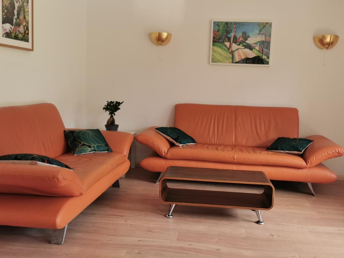 Ferienwohnung Vogelsang Im Schwarzwald Münstertal Dış mekan fotoğraf