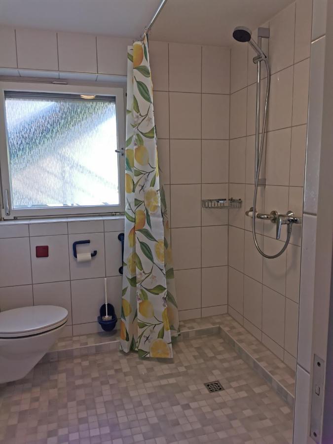 Ferienwohnung Vogelsang Im Schwarzwald Münstertal Dış mekan fotoğraf