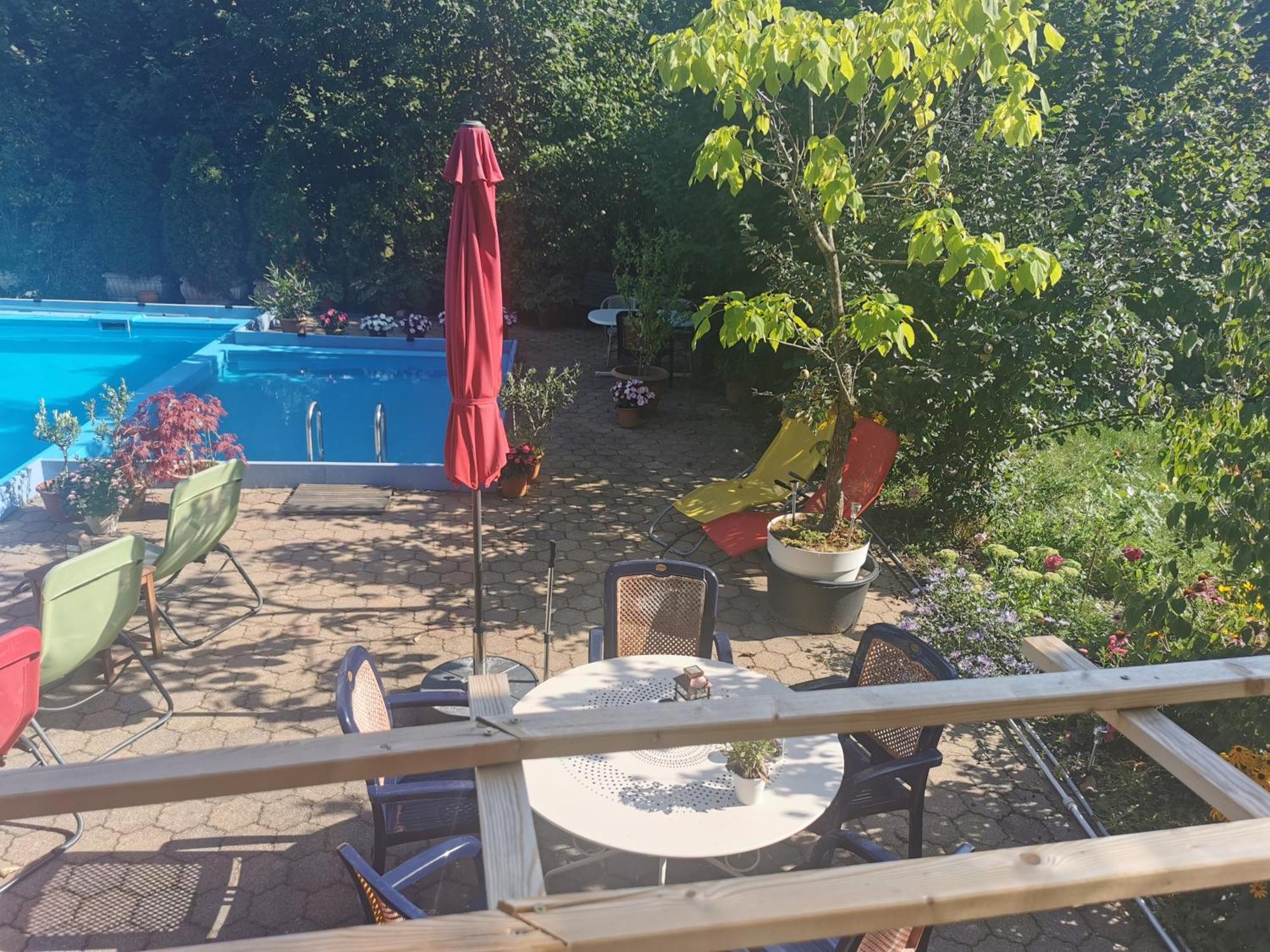 Ferienwohnung Vogelsang Im Schwarzwald Münstertal Dış mekan fotoğraf